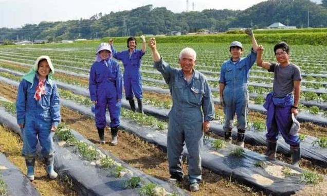 日本勞務(wù)派遣農(nóng)業(yè)類(lèi)、食品加工、建筑業(yè)、電子業(yè)招聘
